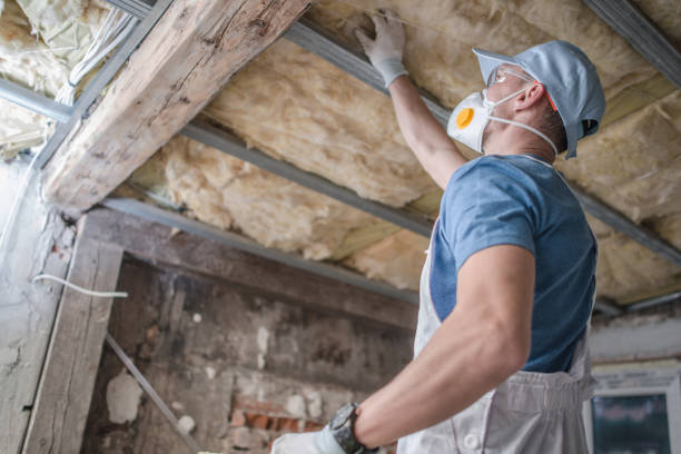 Best Insulation Repair Services  in Chase City, VA