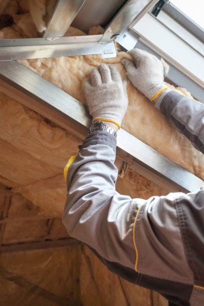 Attic Insulation Near Me in Chase City, VA