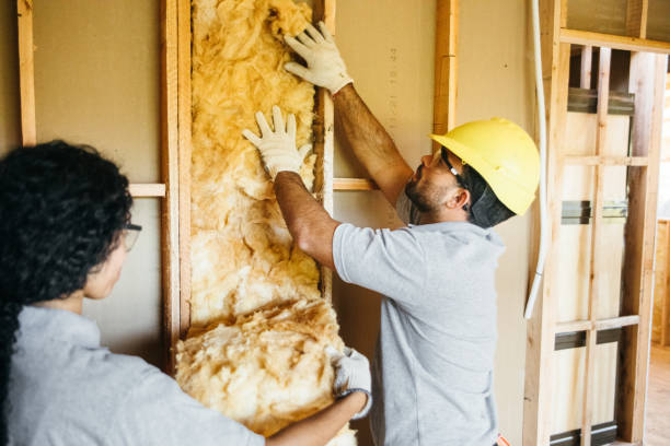Range of Insulation Solutions in Chase City, VA