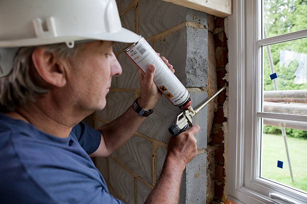 Best Commercial Insulation Contractor  in Chase City, VA